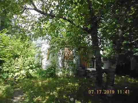 12555 Whitehill (3)_m.jpg